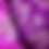 Thumbnail: PLUM BERRY