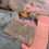 Thumbnail: BLOSSOM PEACH