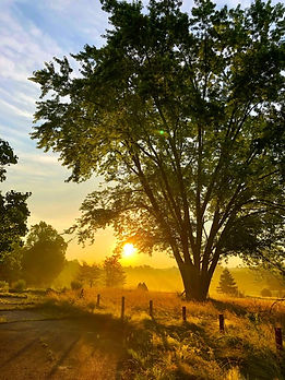 Challenge 11. Photo by Tom Henell on Uns