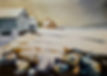Carolyn E Lansdscape workshop 2022.jpg