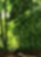 50811e9e-4848-8ca0-5367-f6bb526f0e1d.png