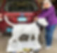 14f5eda5-50cf-2488-7ab8-966d342be578_edited_edited.jpg