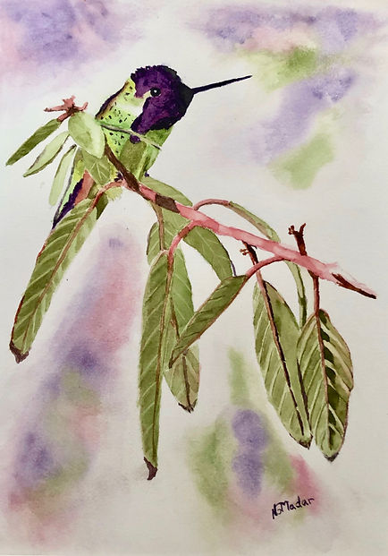 watercolor hummingbird by Nancy Madaar.jpeg