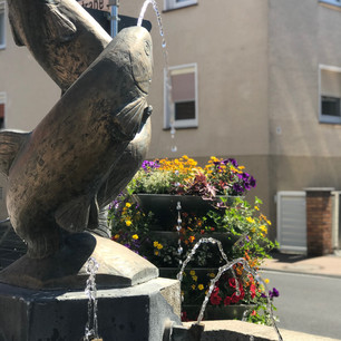 Gedern Brunnen