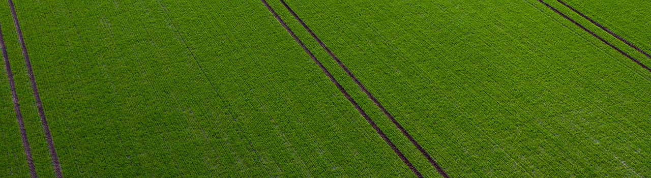 Agricultura Banner.png