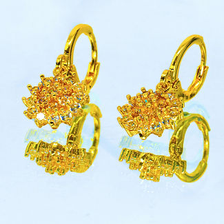 jewelries earrings (2).jpg