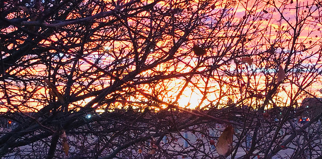 Sunset Silhouette (2).JPEG