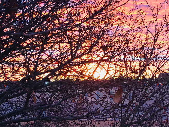 Sunset Silhouette (2).JPEG
