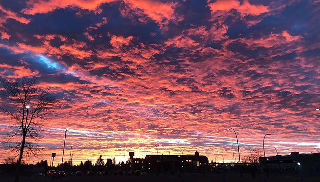 Sunset Silhouette (5).JPEG