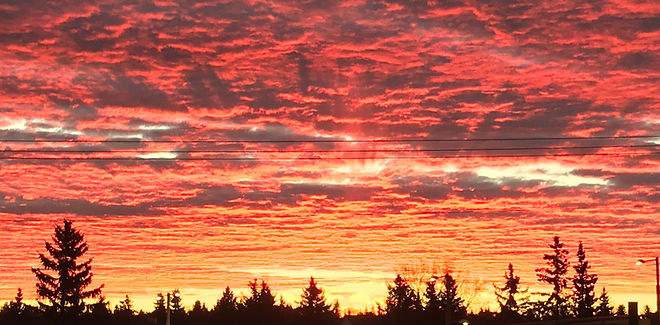 Sunset Silhouette (6).JPEG