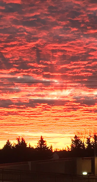 Sunset Silhouette (6).JPEG