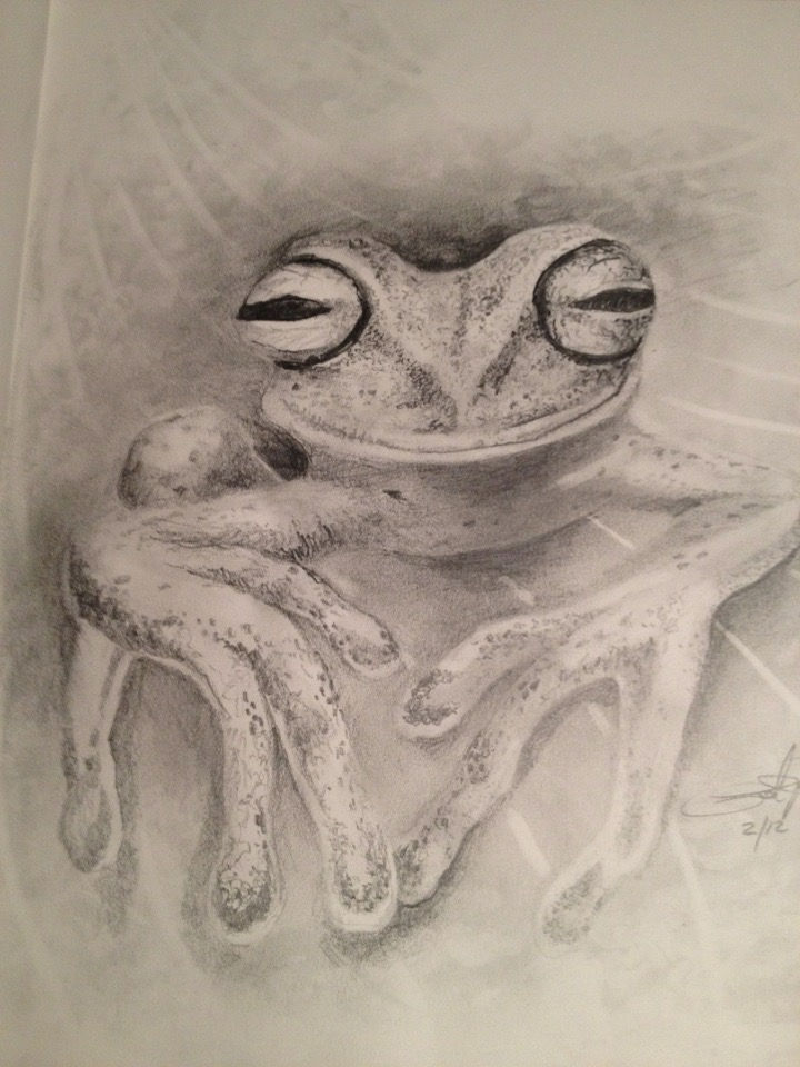Frog Fingers