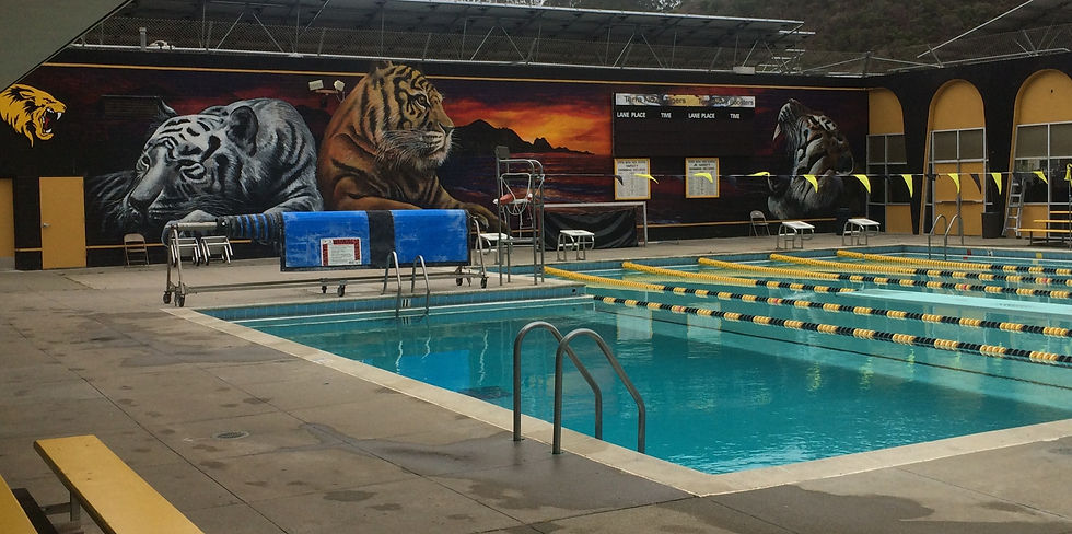 Terra Nova Tigers Mural Pool 19_edited.jpg