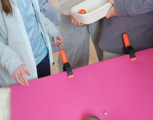 Atelier : ASTRO - Gravité