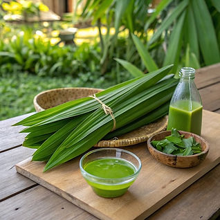 Understanding Pandan as a Flavoring