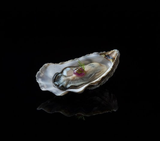 Cold Smoked Oyster Horseradish