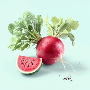 Watermelon Radishes