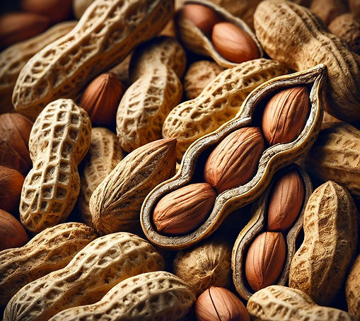 Organic Peanut Powder