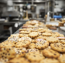Animal Biscuits