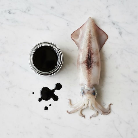Squid Ink in Cooking