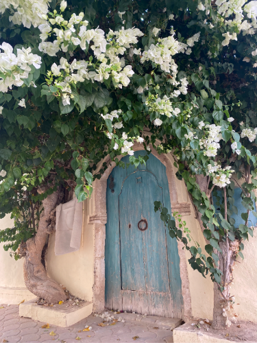 Djerbahood Djerba modré dveře květiny Er-Riadh