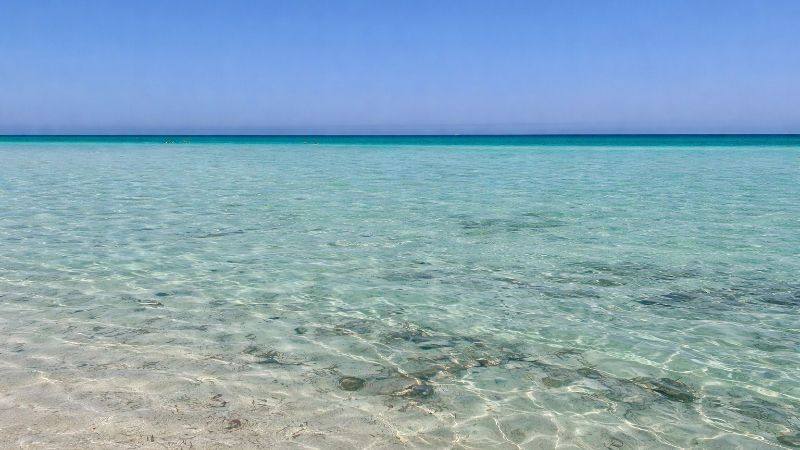Djerba modrá laguna mělčiny moře