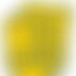 Junggesellenabschied │Bärenkopf 17.08.2024