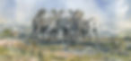 Rams for website_edited.jpg