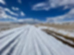 Wide view of people and dog cross country skiing in wind swept landscape