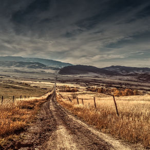 Rethinking Roads
