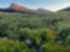 Western mountains at sunset
