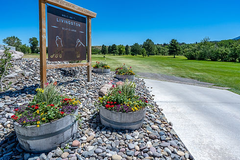 golf 20220-15.jpg