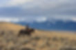 DSC_6430.jpg