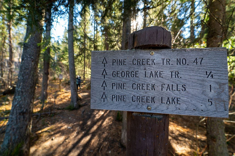 Traveling Mel Pine Creek Falls 2.jpeg