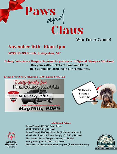 Colmey- Paws & Claus -Special Olympics Montana Raffle.jpg