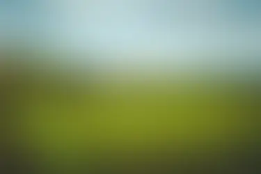 Ballade en Roannais du 18 Avril 2026