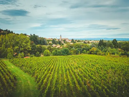 Ballade en Roannais du 18 Avril 2026