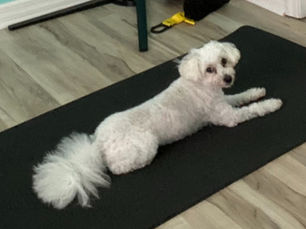 Soothe your “flight or fight” system