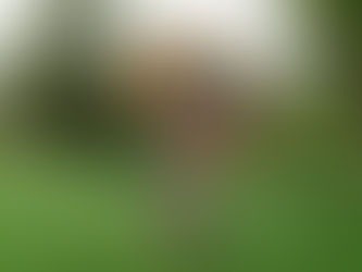 Escaping Hopelessness.