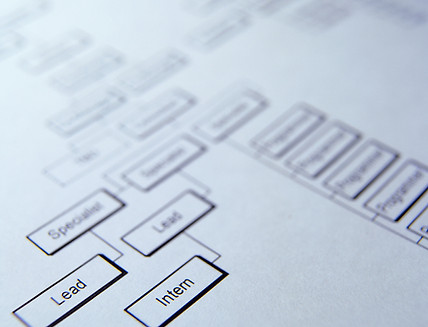 Organizational Chart
