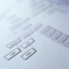 Back office software development
