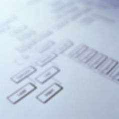 Back office software development