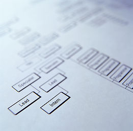 Planning & Strategy, ERP / MPR / PDM Integration, Custom Programming