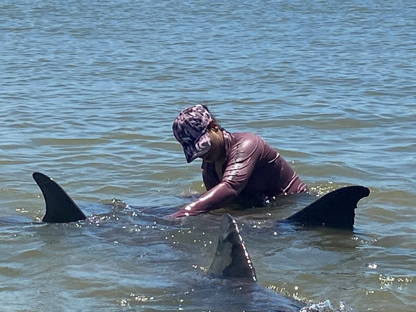 Playing with Dolphins in a beach in Trinidad