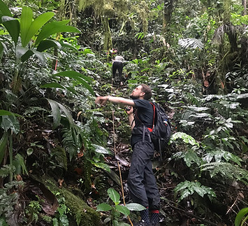 El Cerro De Las Cuevas Mountain, Trinidad