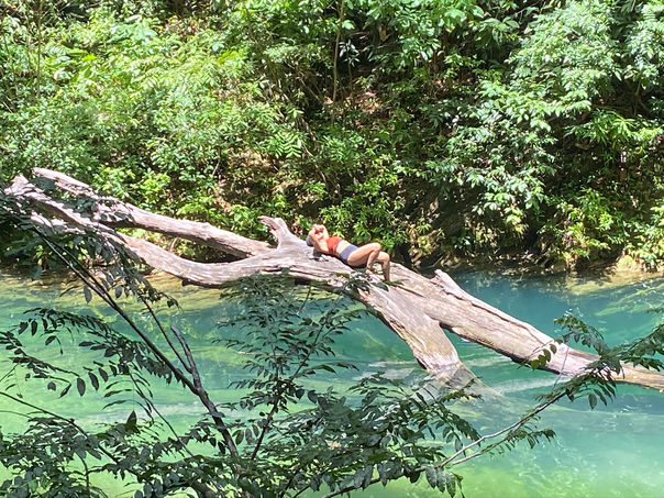 Mystique Pool, Trinidad