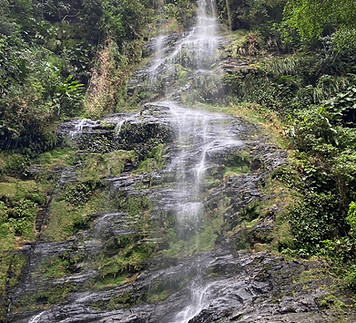 Chorro Waterfall Trinidad
