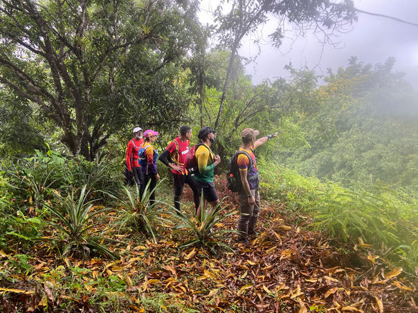 Hiking Adventure done By Nature Trekking in T&T