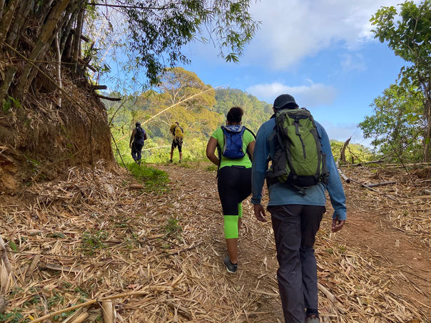 Hiking Trail in Trinidad