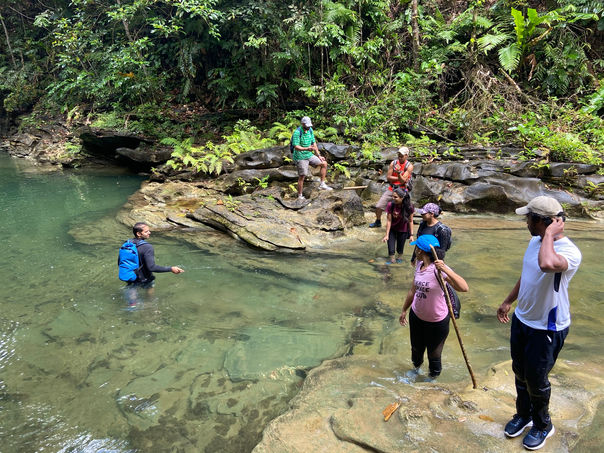 Matura River, Trinidad